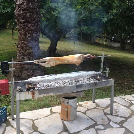 The Olive Grove House 度假居 *
